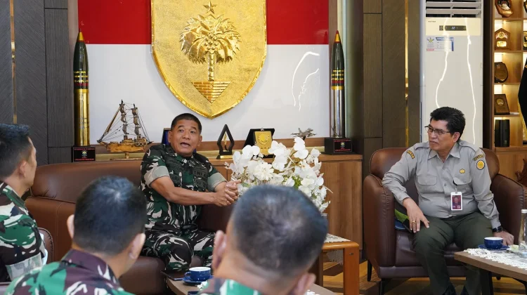 Pangdam XIV/Hasanuddin Mendukung Percepatan Cetak Sawah Rakyat
