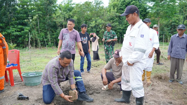 Luwu Kembangkan Aren Genjah, Dukung Penghijauan dan Kesejahteraan Warga
