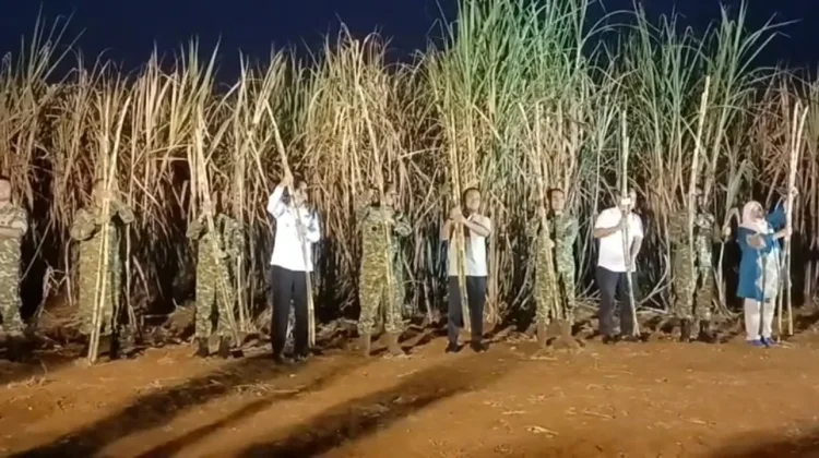 Panen Raya Tebu Takalar, Sinergi TNI dan Petani Perkuat Produksi Gula Nasional