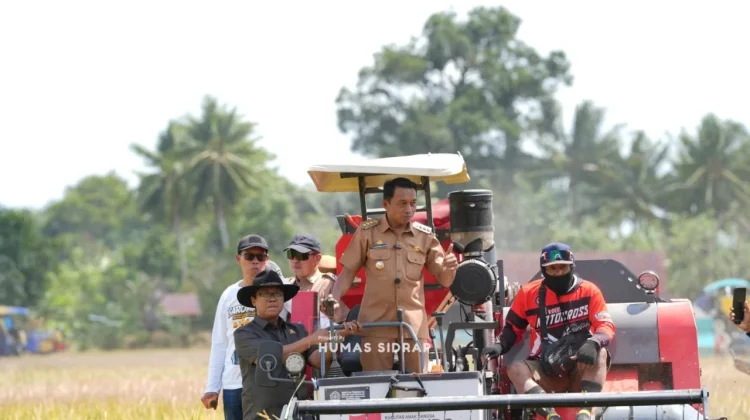 Bupati Sidrap Luncurkan Panen Raya Mekanisasi Pertanian