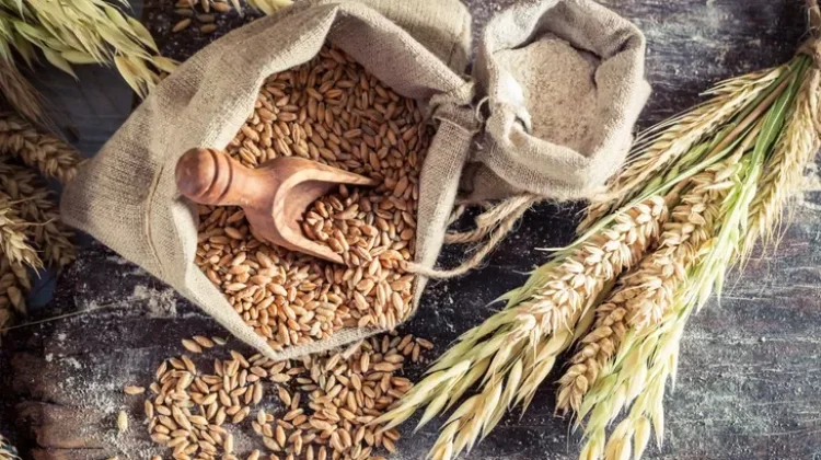 Menjaga Tubuh Tetap Fit, Ini Deretan Makanan Pencegah Gula Darah Rendah