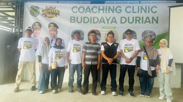 Solusi Jitu Petani Durian, Sarialam Bongkar Rahasia Mencegah Buah Rontok