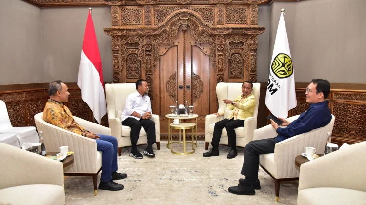 Temui Menteri ESDM, Gubernur Sulsel Usulkan Listrik Desa dan Storage Tank BBM