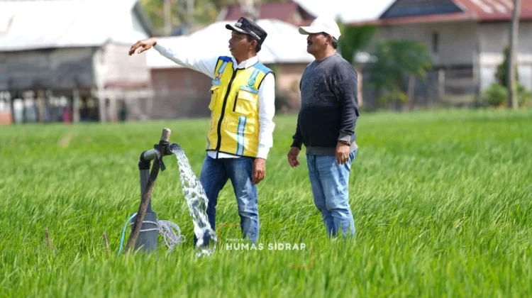 Bupati Sidrap Tinjau Irigasi, Pastikan Penanganan Kekeringan Sawah Petani