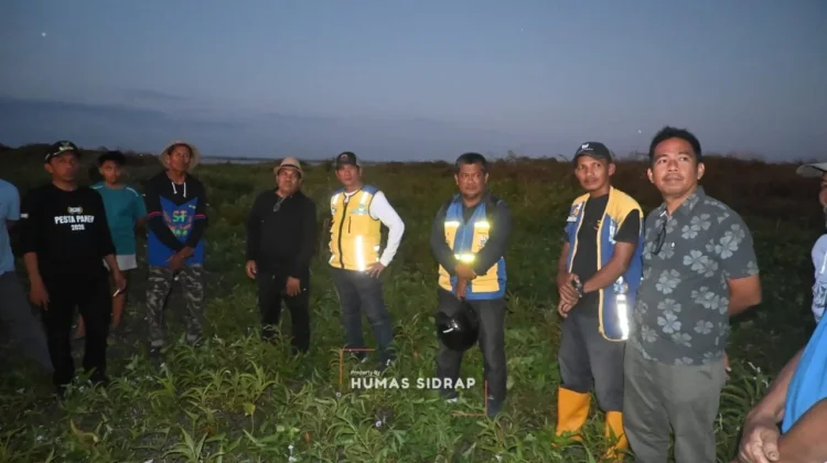 Bupati SIDRAP, Turun Malam Dengar Keluh Kesah Petani