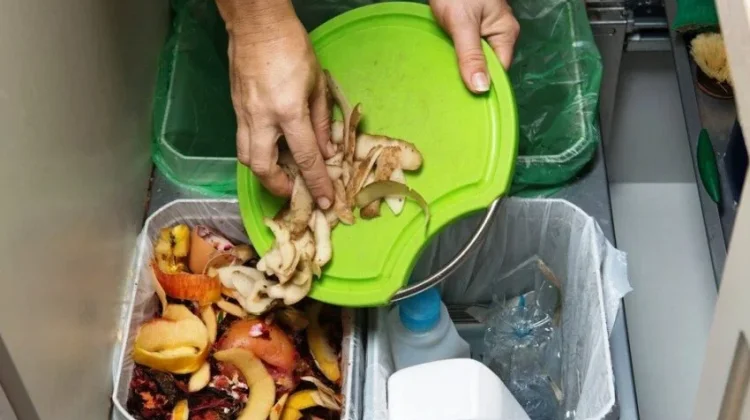 Cara Memilah Sampah Rumah Tangga sebelum Diangkut ke TPA