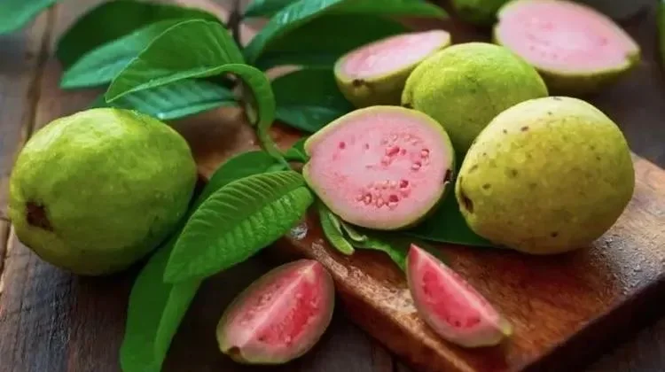 Jambu Biji Kaya Nutrisi, Bermanfaat Menjaga Kesehatan Tubuh