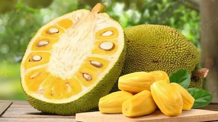 Penelitian Ungkap Potensi Nangka Cegah Berbagai Penyakit