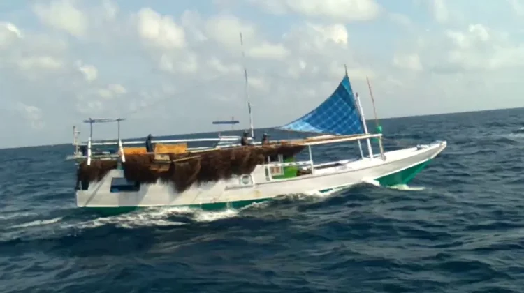 Perahu Patorani, Warisan Bahari Leluhur Makassar yang Melintasi Abad