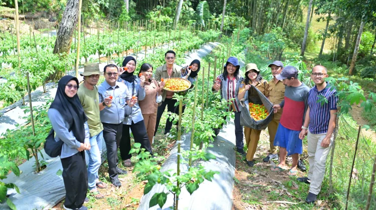 Perkuat Branding Produk Unggulan, Kemenkum Sulsel Produksi Video IG Cabe Katokkon