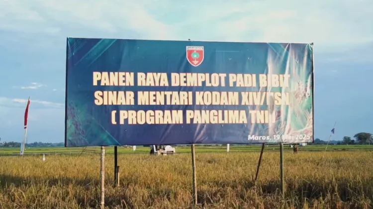 Kodam XIV/Hasanuddin Dukung Produksi dan Serap Gabah Petani