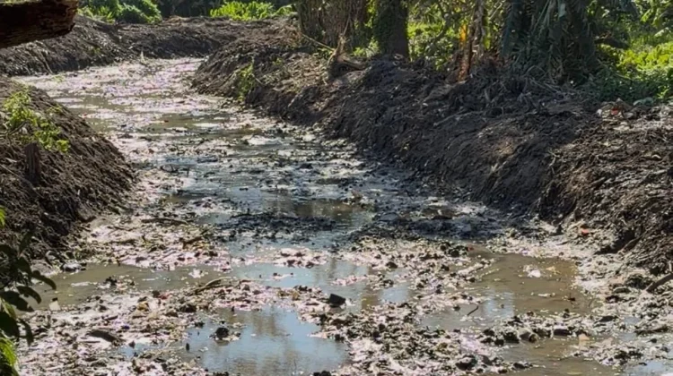 Tasming Hamid Perintahkan Pengerukan Sungai Dipercepat, Kurangi Luapan Air