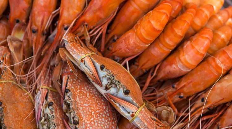 Rahasia Menjaga Mutu Udang dan Kepiting sebelum Dibekukan