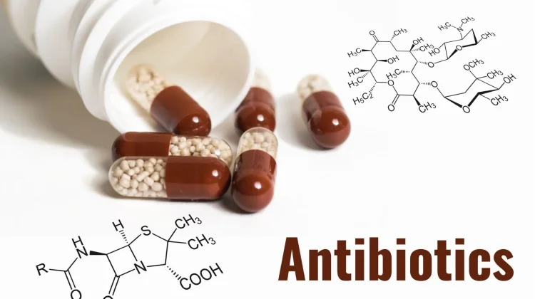 Pakar Ingatkan Masyarakat Tak Sembarangan Konsumsi Antibiotik