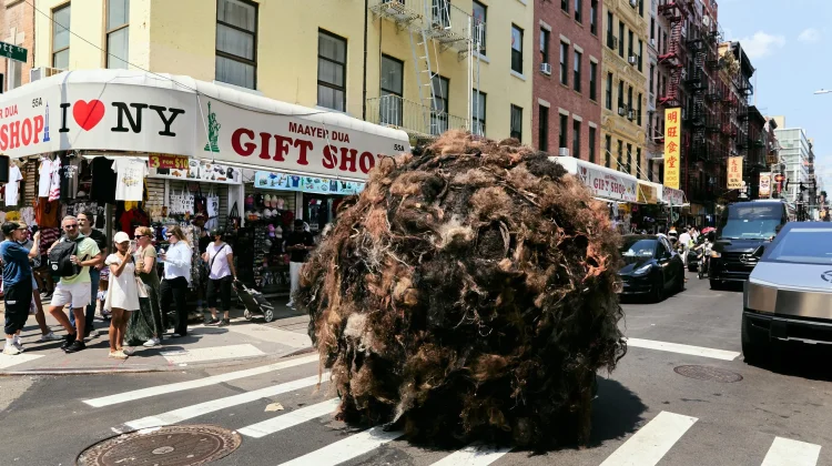 Bola Rambut Raksasa Bergulir di New York, Kampanye K18 Soroti Kerontokan Rambut