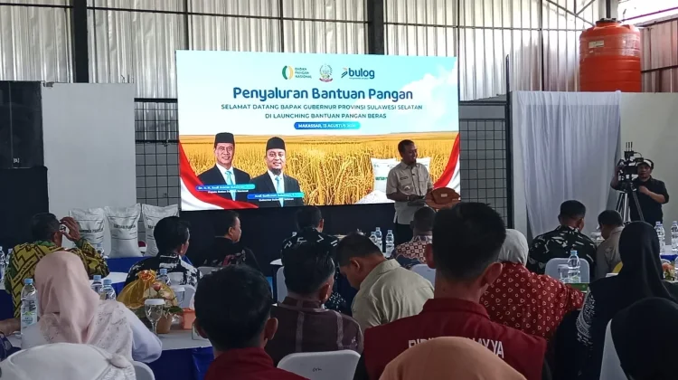 Gubernur Sulsel Dorong KDKMP Salurkan Bantuan Pemerintah