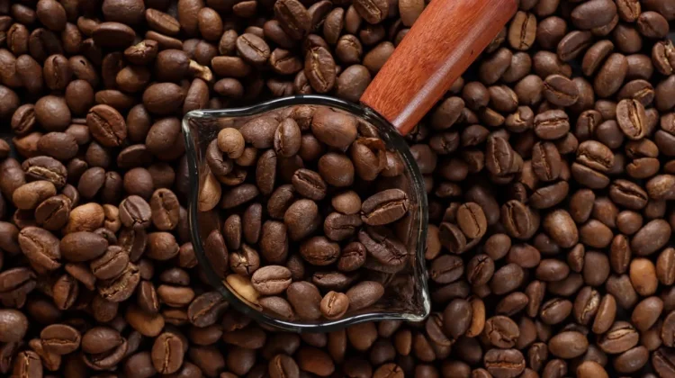 Mengenal Ragam Kopi Indonesia dari Toraja hingga Wamena