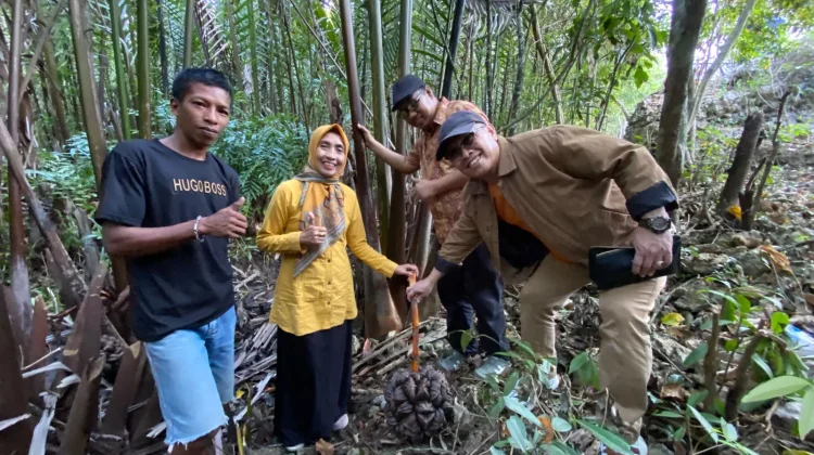 ITB Nobel dan UMMA Olah Nira Nipah Rammang-Rammang Jadi Gula Semut Bernilai Ekonomi
