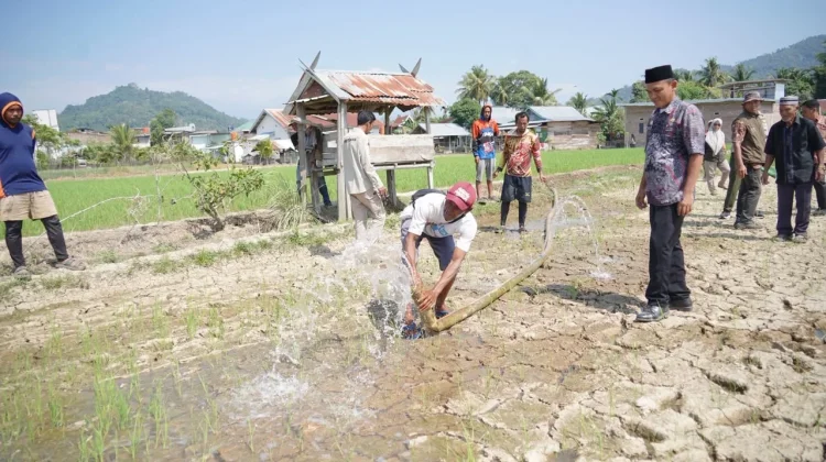Bupati Luwu Pastikan Bantuan Pompa Air Tepat Sasaran