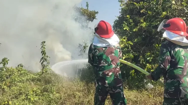 Kodim Gowa dan Damkar Padamkan Karhutla di Pallangga