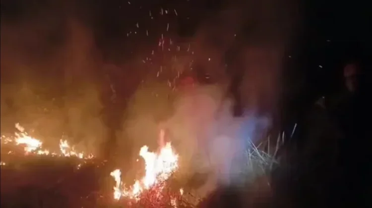 Kebakaran Lahan di Pinrang Capai 16 Hektare, Pemerintah Perkuat Patroli