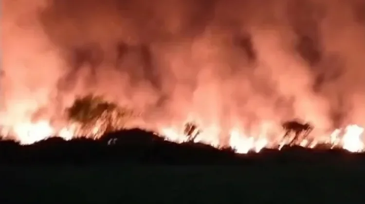 Kebakaran Lahan Kosong di Parangloe Berhasil Dipadamkan