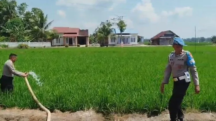 Polres Palopo Salurkan Air untuk Sawah Warga Terdampak Kekeringan di Pentojangan