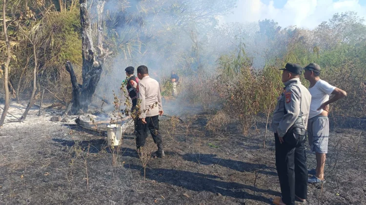 Kebakaran Lahan Terjadi di Tiga Lokasi, Api Membesar di Balangsembo Selayar