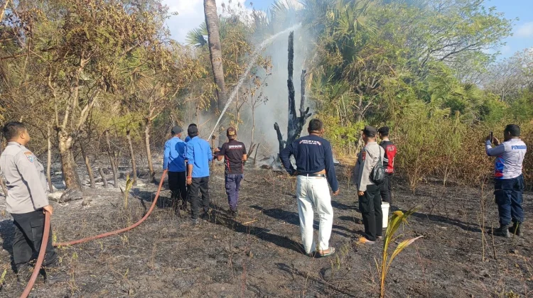 Kebakaran Lahan Terjadi di Tiga Lokasi, Api Membesar di Balangsembo Selayar