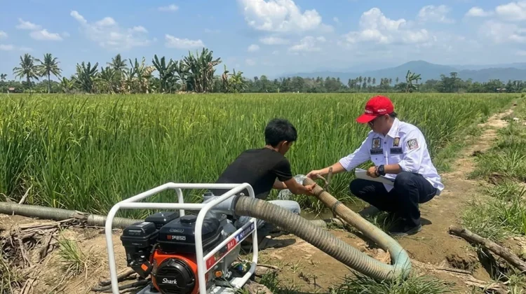 Antisipasi Kekeringan, Pemprov Sulsel Kirim 10 Pompa Air ke Lutra