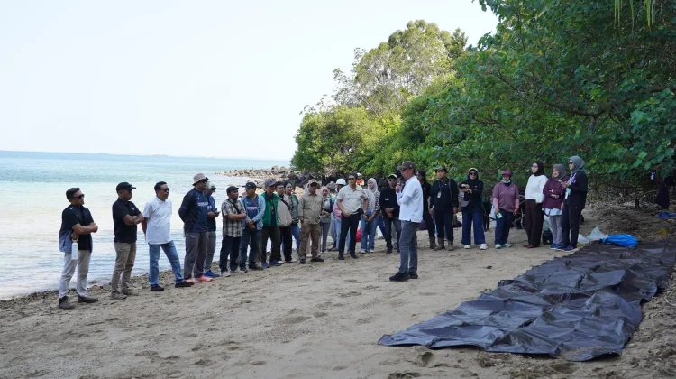 PT Vale Perkuat Ekosistem Pesisir Luwu Timur