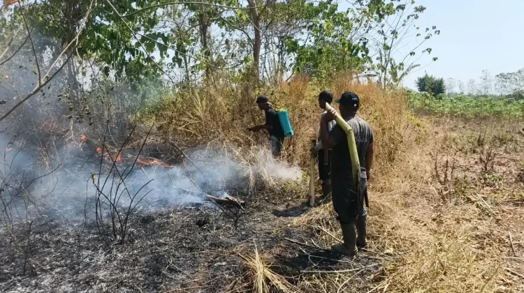 Lahan 50 Are Terbakar di Gowa, Babinsa dan Warga Bergerak Cepat Padamkan Api