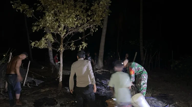 Seorang Bakar Rumput di Kebun Ciptakan Pohon Bara Setinggi 7 Meter di Laiyolo