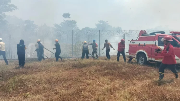 Tim Gabungan Padamkan Kebakaran 10 Hektare Lahan di Gowa
