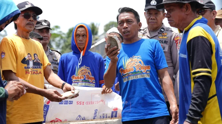 Bupati Syaharuddin Saksikan Panen Padi dan Ikan di Kulo