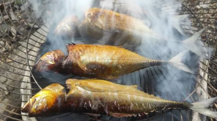 Asap Ikan Bakar yang Terhirup Dapat Mengganggu Kesehatan Pernapasan
