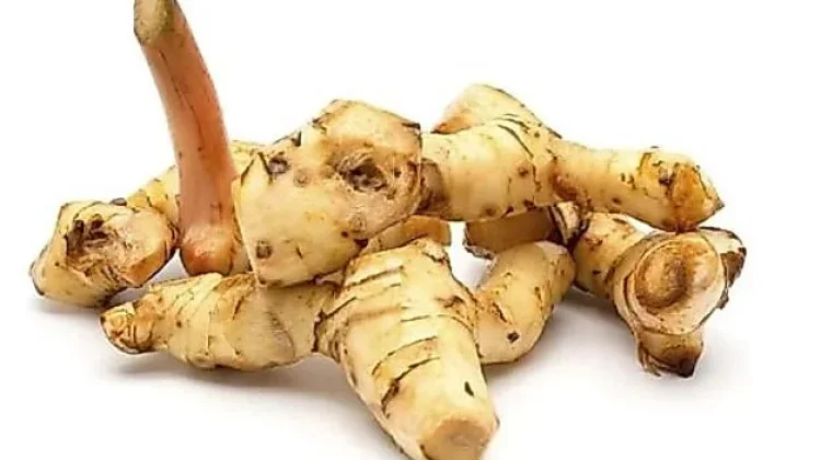 Lengkuas Tak Sekadar Bumbu, Kaya Senyawa Bioaktif untuk Tubuh