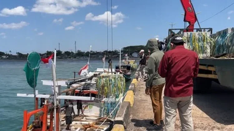Dinas Perikanan Bulukumba Turunkan Apartemen Ikan ke Laut Sebagai Habitat Baru