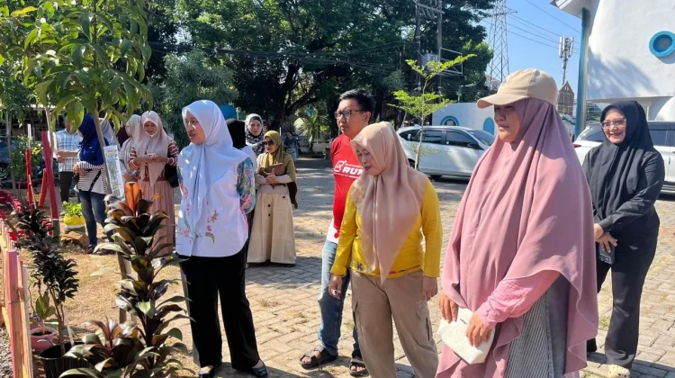 Apresiasi TK Negeri Rappocini, Konsep Urban Farming di lingkungan Sekolah.