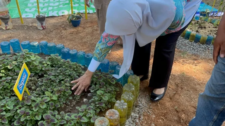 Apresiasi TK Negeri Rappocini, Konsep Urban Farming di lingkungan Sekolah.