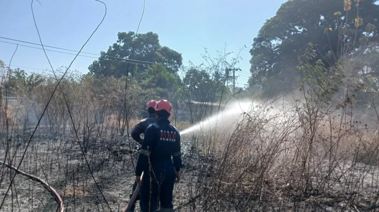Lahan Terbakar di Sekitar Bandara Sultan Hasanuddin, Api Berhasil Dikendalikan
