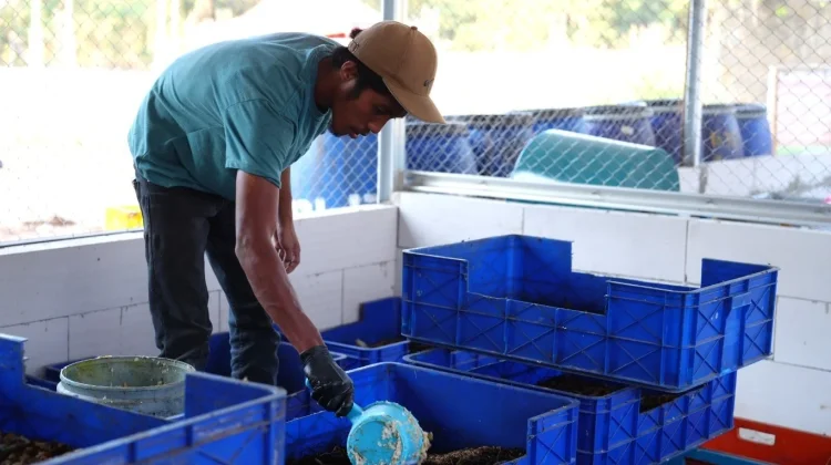 Fapet Unhas Kelola 2,8 Ton Sampah Organik, Kembangkan Budidaya Maggot