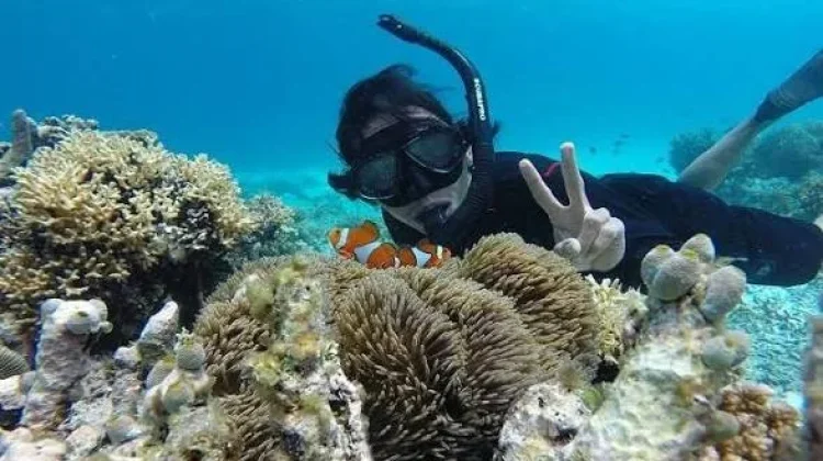 Pulau Kapoposang, Surga Diving Sulawesi Selatan
