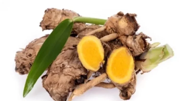Bangle, Rempah Nusantara yang Kaya Aroma untuk Masakan
