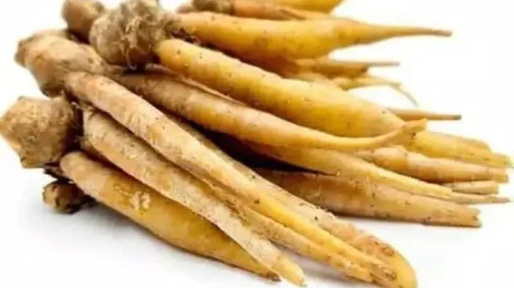 Temu Kunci, Rempah Lokal yang Bikin Sayur Bening Makin Segar