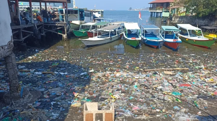 Sampah Kiriman Penuhi Kayu Bangkoa, Kelurahan Bulogading Bergerak Setiap Hari