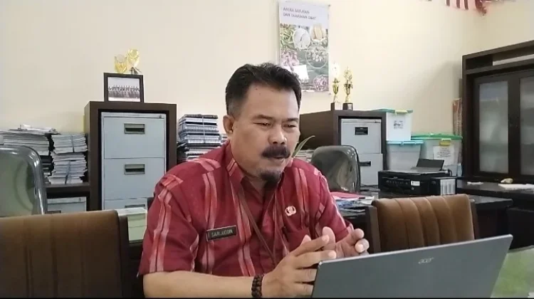 Produksi Cabai Sulsel Tetap Stabil Ditengah El Nino