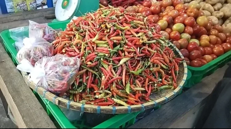 Enrekang Jadi Champion Cabai Jaga Pasokan Nasional