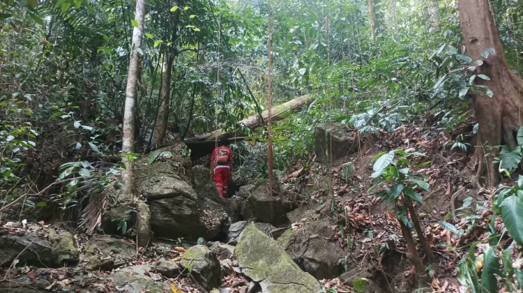 Tim SAR Cari Warga Luwu Timur yang Hilang di Hutan Lahumpangi