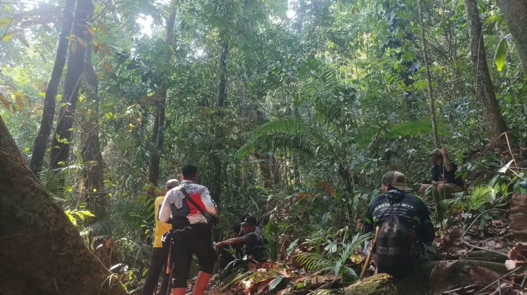 Tim SAR Cari Warga Luwu Timur yang Hilang di Hutan Lahumpangi